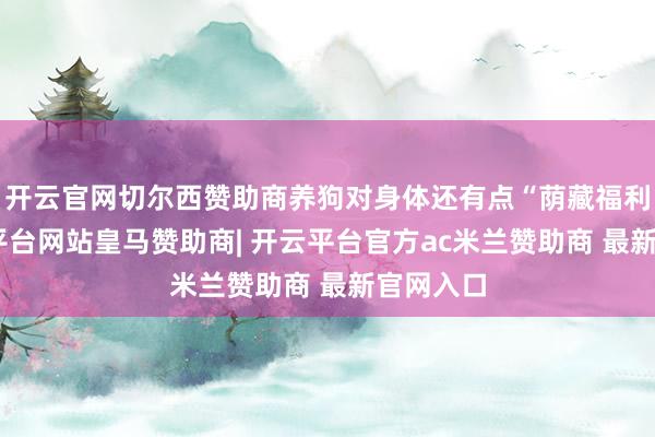 开云官网切尔西赞助商养狗对身体还有点“荫藏福利”-开云平台网站皇马赞助商| 开云平台官方ac米兰赞助商 最新官网入口