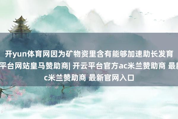 开yun体育网因为矿物资里含有能够加速助长发育的锌-开云平台网站皇马赞助商| 开云平台官方ac米兰赞助商 最新官网入口