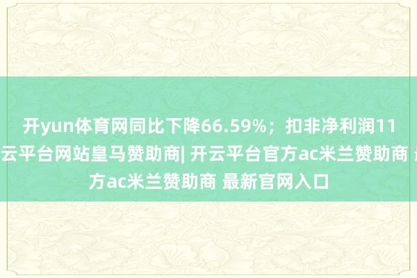 开yun体育网同比下降66.59%；扣非净利润114.06万元-开云平台网站皇马赞助商| 开云平台官方ac米兰赞助商 最新官网入口