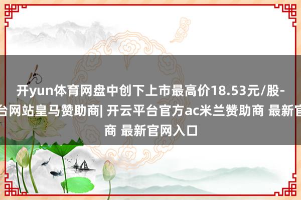 开yun体育网盘中创下上市最高价18.53元/股-开云平台网站皇马赞助商| 开云平台官方ac米兰赞助商 最新官网入口