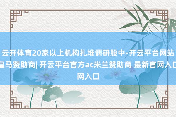 云开体育20家以上机构扎堆调研股中-开云平台网站皇马赞助商| 开云平台官方ac米兰赞助商 最新官网入口