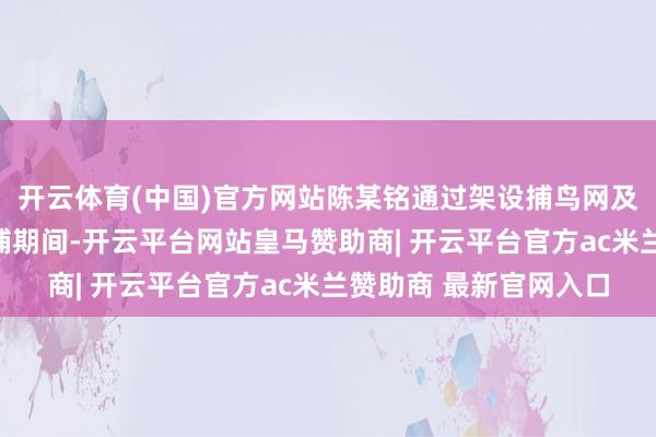 开云体育(中国)官方网站陈某铭通过架设捕鸟网及播放画眉鸟叫声等诱捕期间-开云平台网站皇马赞助商| 开云平台官方ac米兰赞助商 最新官网入口