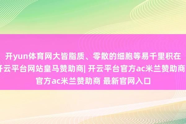 开yun体育网大皆脂质、零散的细胞等易千里积在血管内膜上-开云平台网站皇马赞助商| 开云平台官方ac米兰赞助商 最新官网入口